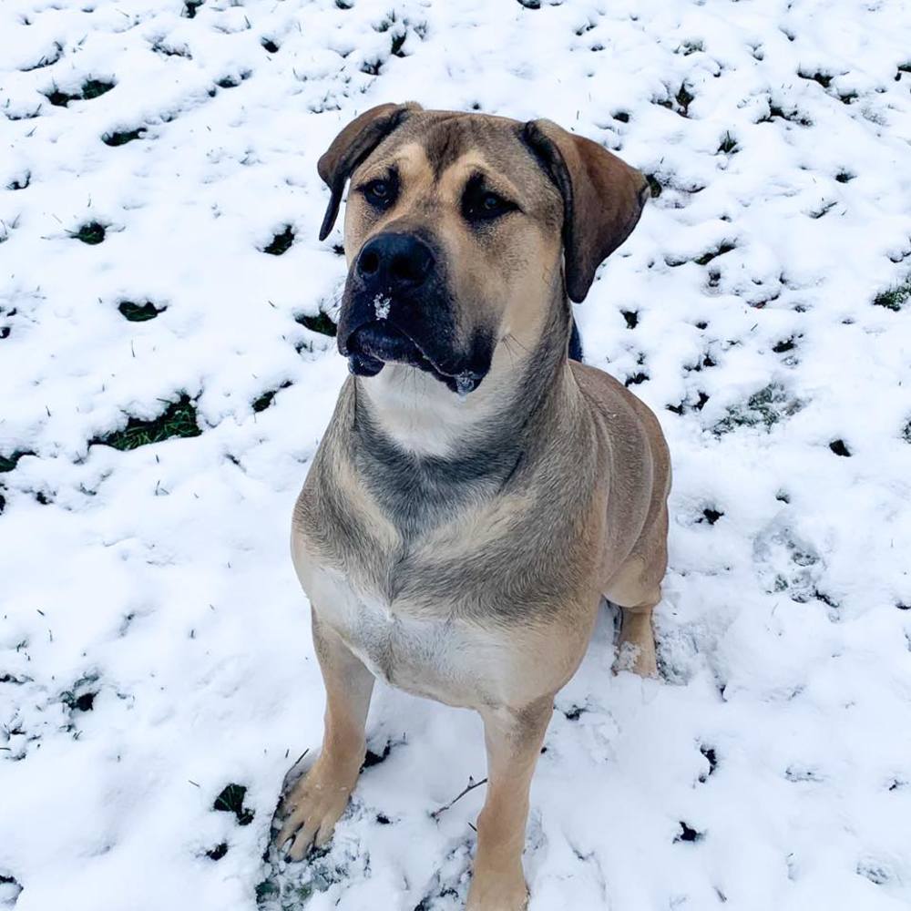 Meet your Posher, Allison